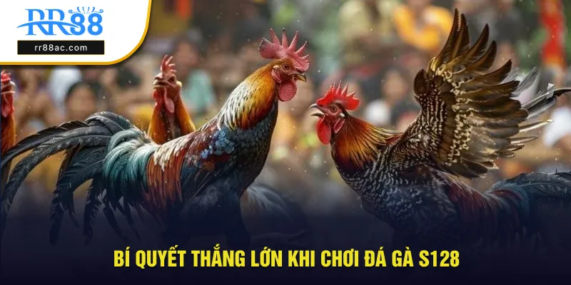 Bí quyết luôn thắng cược khi tham gia