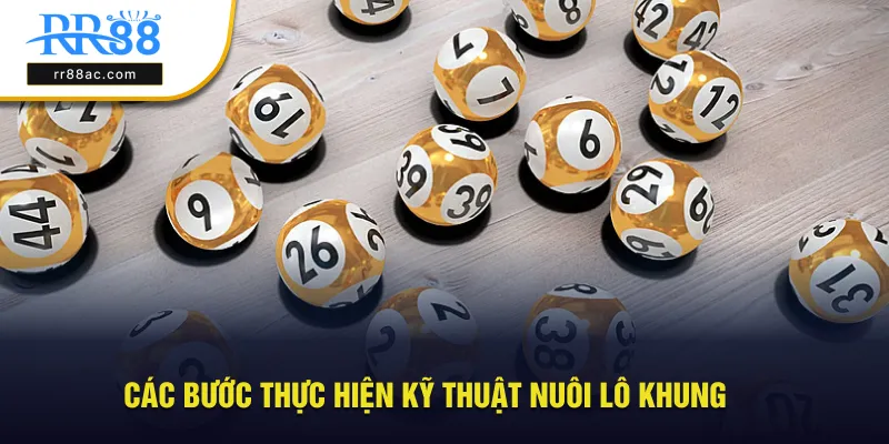 Các bước thực hiện nuôi lô khung