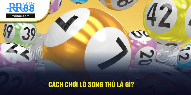 Hướng dẫn cách chơi lô song thủ là gì?