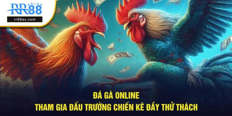 đá gà online
