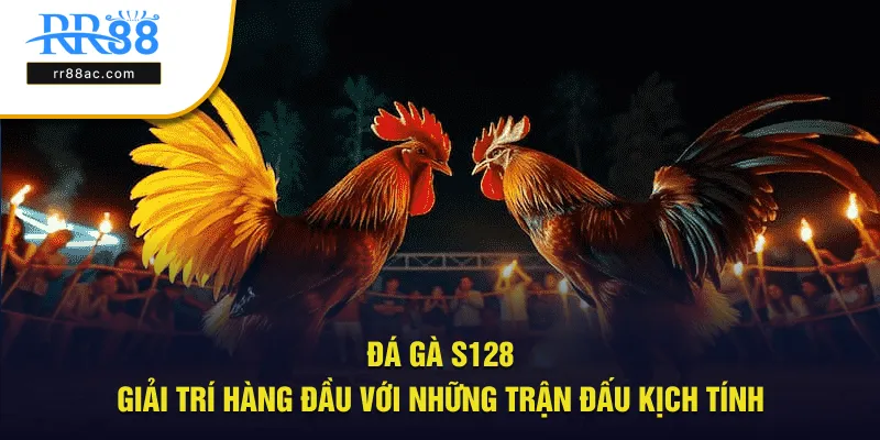 đá gà S128