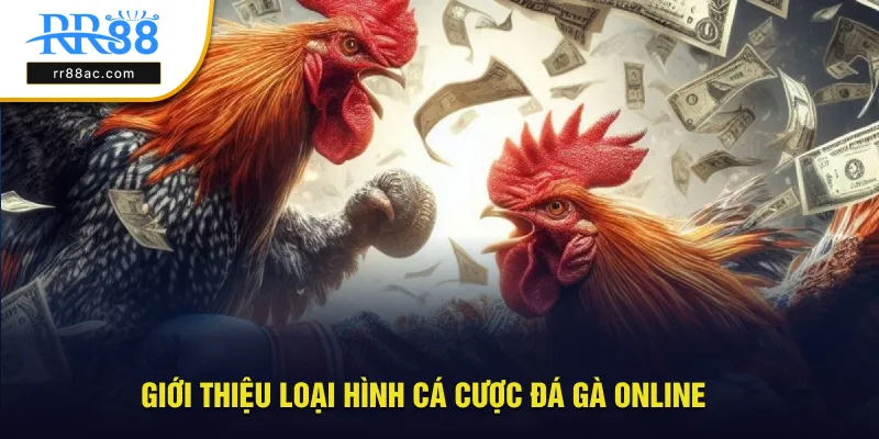 Giới thiệu loại hình cá cược đá gà online cược phổ biến