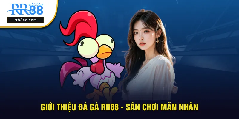 Giới thiệu đá gà RR88