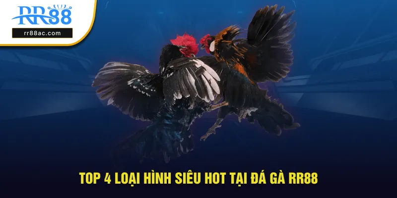 Top những loại hình siêu hot tại đá gà RR88