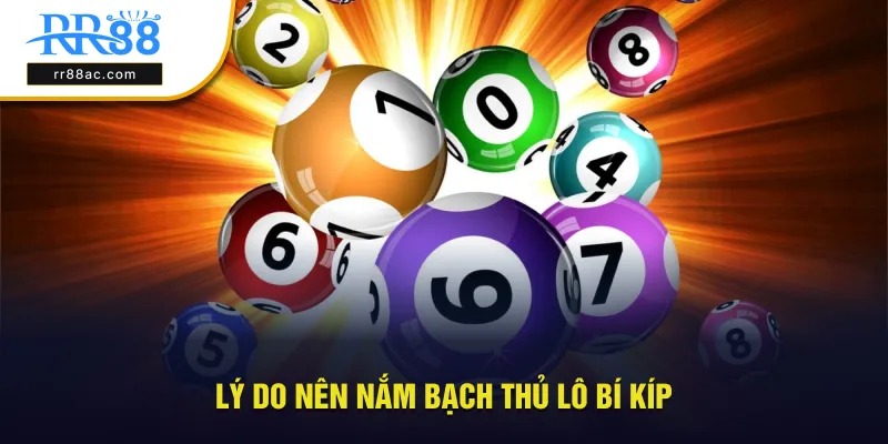 Mục đích nên trang bị bạch thủ lô bí kíp