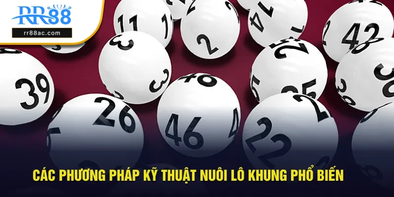 Các phương pháp hữu ích kỹ thuật nuôi lô khung phổ biến