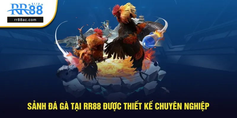 Sảnh đá gà tại RR88 được thiết kế chuyên nghiệp
