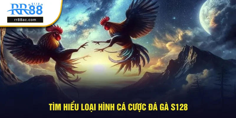 Tìm hiểu loại hình thức cá cược đá gà S128