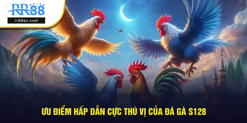 Ưu điểm của hình thức đá gà hấp dẫn này